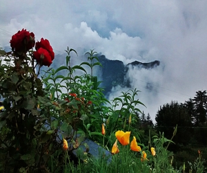 Beautiful Shimla Trip