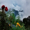 Beautiful Shimla Trip