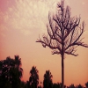 Garden of Five Senses Delhi