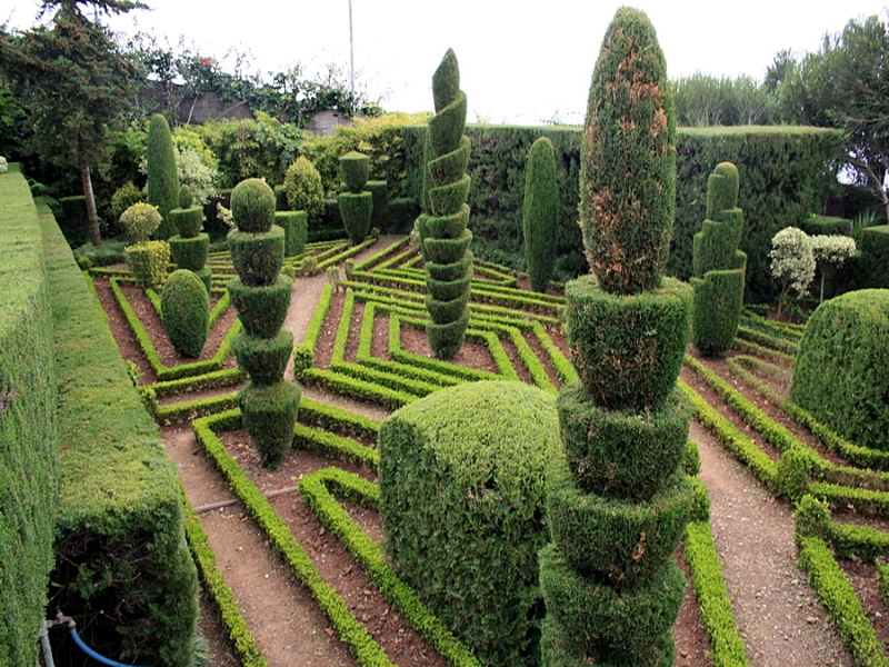 Chandigarh Botanical Garden