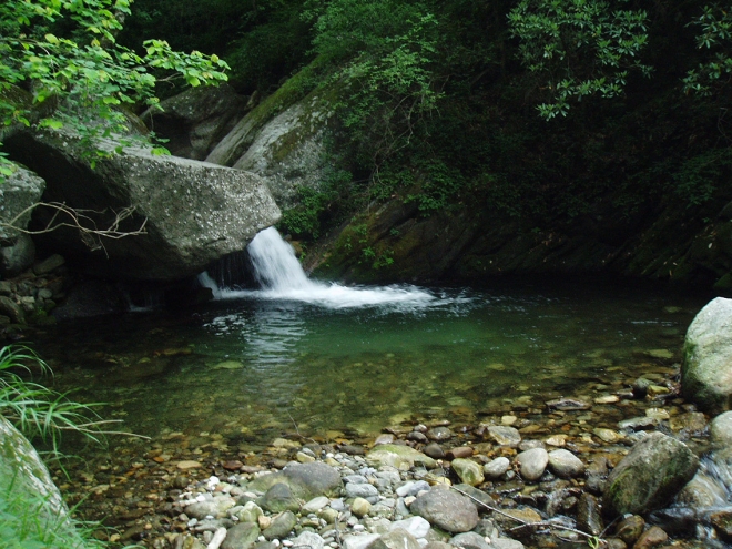 The Great Himalayan National Parks