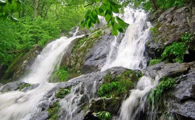 Thusharagiri Waterfall