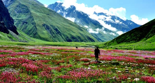 Nanda Devi and Valley of Flowers National Parks- coveringindia