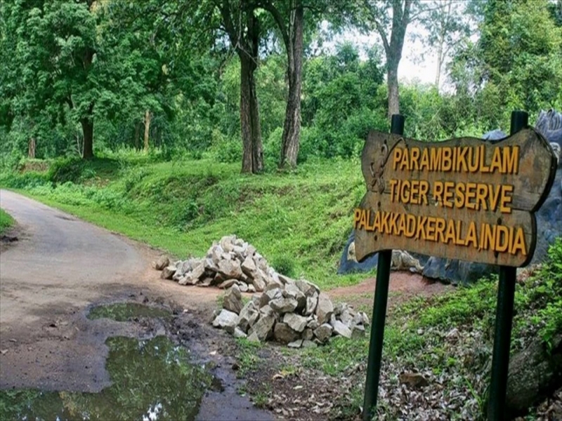 Shimla Reserve Forest Sanctuary and Catchment Area