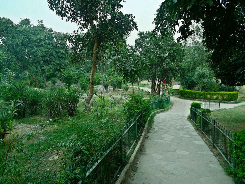 Delhi Ridge coveringindia