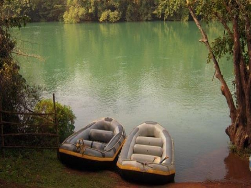 Dandeli