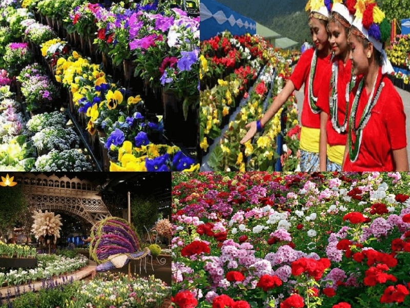 International Flower Festival