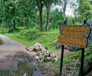 Shimla Reserve Forest Sanctuary and Catchment Area