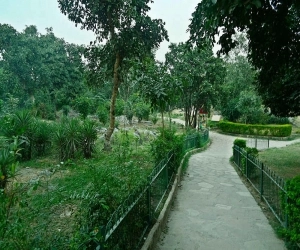 Delhi Ridge