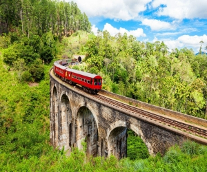 New Year special international tour packages BY IRCTC