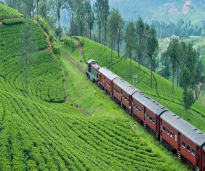 IRCTC is offering three South India tour packages under INR 20,000