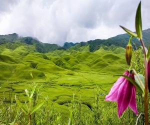 Plastic ban restores Nagaland Dzukou valley in its natural beauty